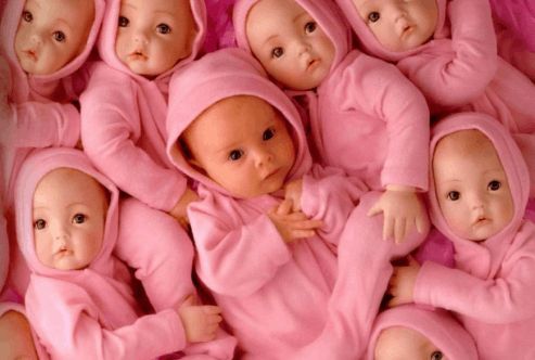 专家肖像